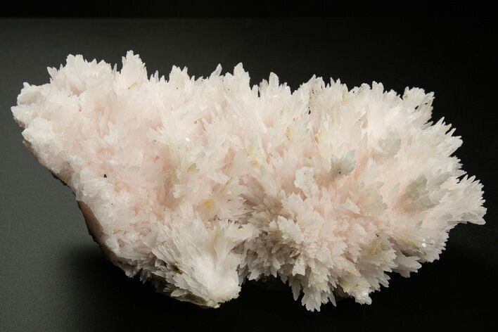 Pink Manganoan Calcite Crystal Cluster - Fluorescent! #337391
